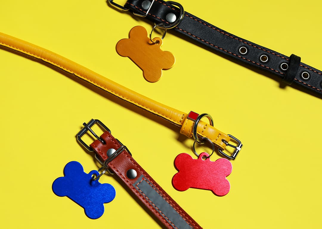 dog collars with dog tages