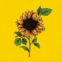 Chasity Branch avatar