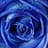 Gregory Scott Pasch avatar