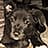 Jill T Ekdahl avatar
