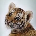 Meredith Hackett Blumhorst avatar