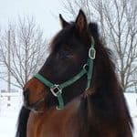 Jeanne Marie Samuelsen avatar