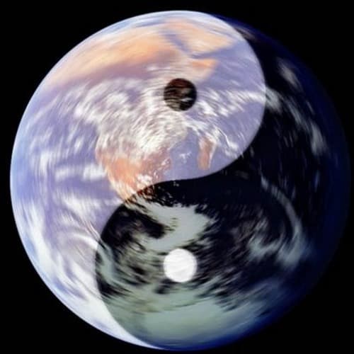 Vue I Yang avatar