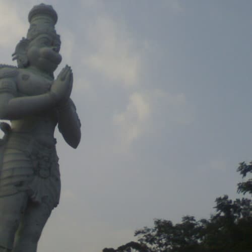 Manjula N Roy avatar