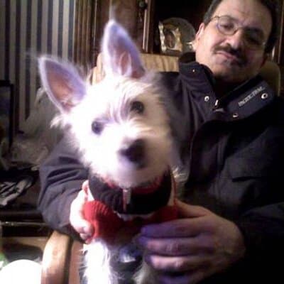 Nabeel Yousef Qutob avatar