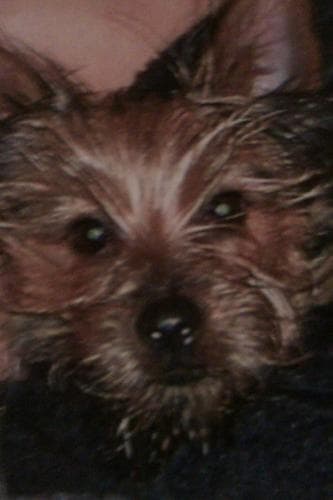 Mildred E Craib avatar
