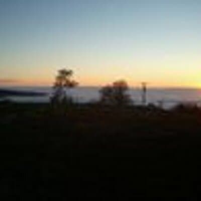 Laurie Faye Vining avatar