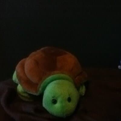 Max Paul Sternjacob avatar