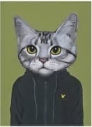 Jake Bitner avatar