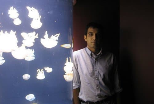 Haroon Razi Khan avatar