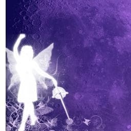 David Branden Violet avatar