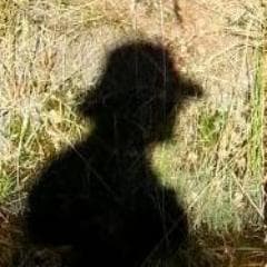 Paul Aaron Devisser avatar