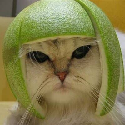 Sarahann Coder avatar