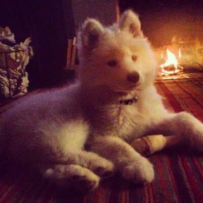 Mark F Detwiler avatar