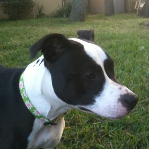 Glenna Marie Holcomb Roberts avatar