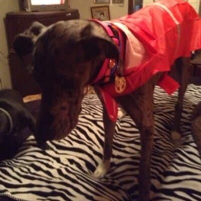 Darleen Louise Branch avatar