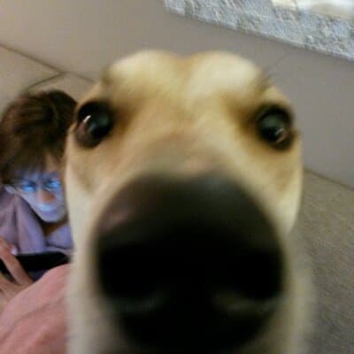 Kevin E Pasch avatar