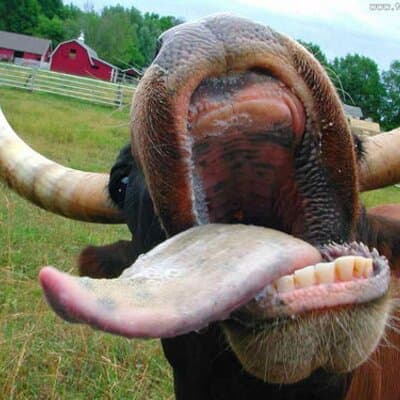 Jared W Oder avatar