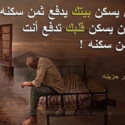 Nouri Saeid Vian avatar