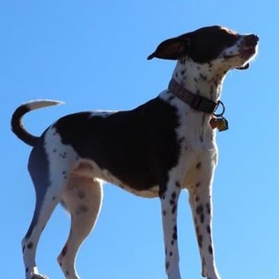 Colby Ryan Mink avatar