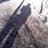 Randy Keith Vollrath avatar