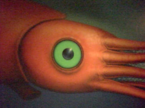 Dwayne Correa avatar