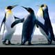 Howard Keith Bradt avatar
